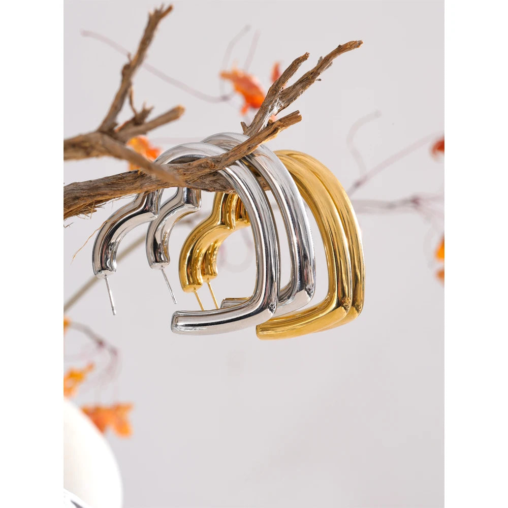 Isalene  Earrings Amora Heart Hoop Earrings