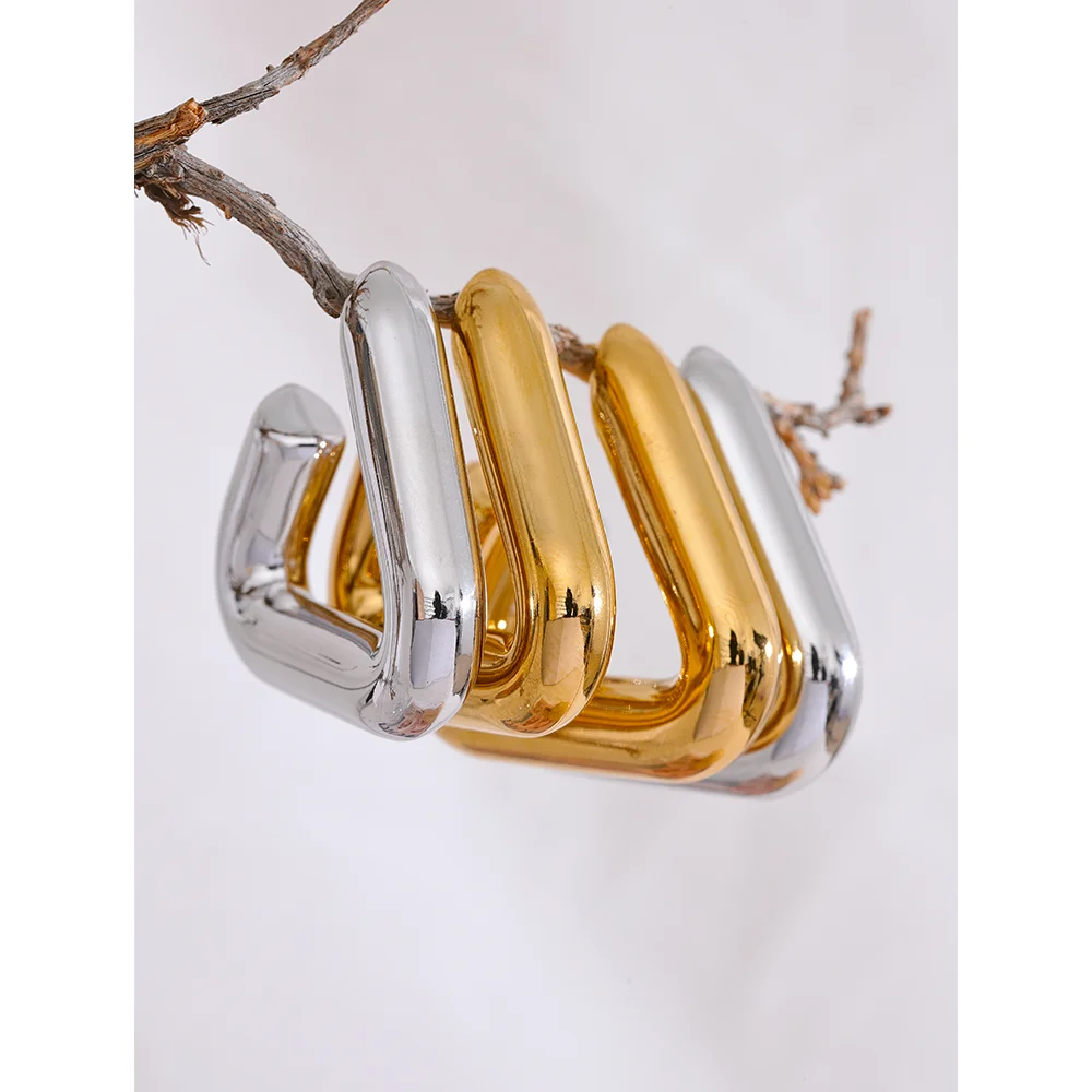 Isalene  Earrings Double Curve Hoop Earrings