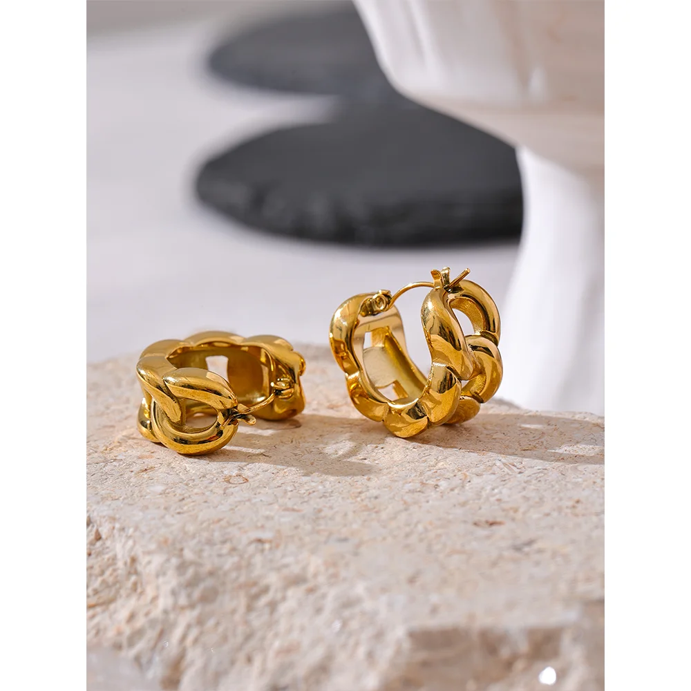 Isalene  Earrings Gold Sculpted Link Hoop Earrings