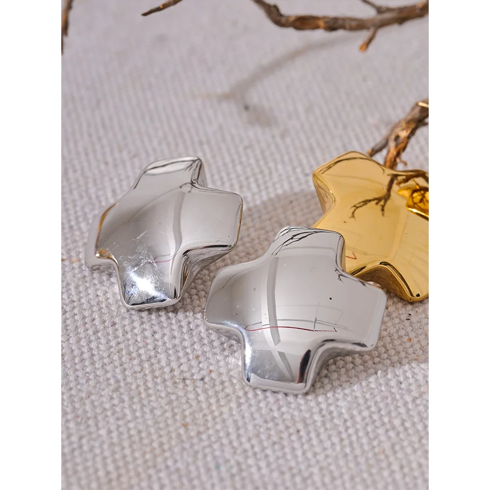 Isalene  Earrings Sculpted Star Stud Earrings