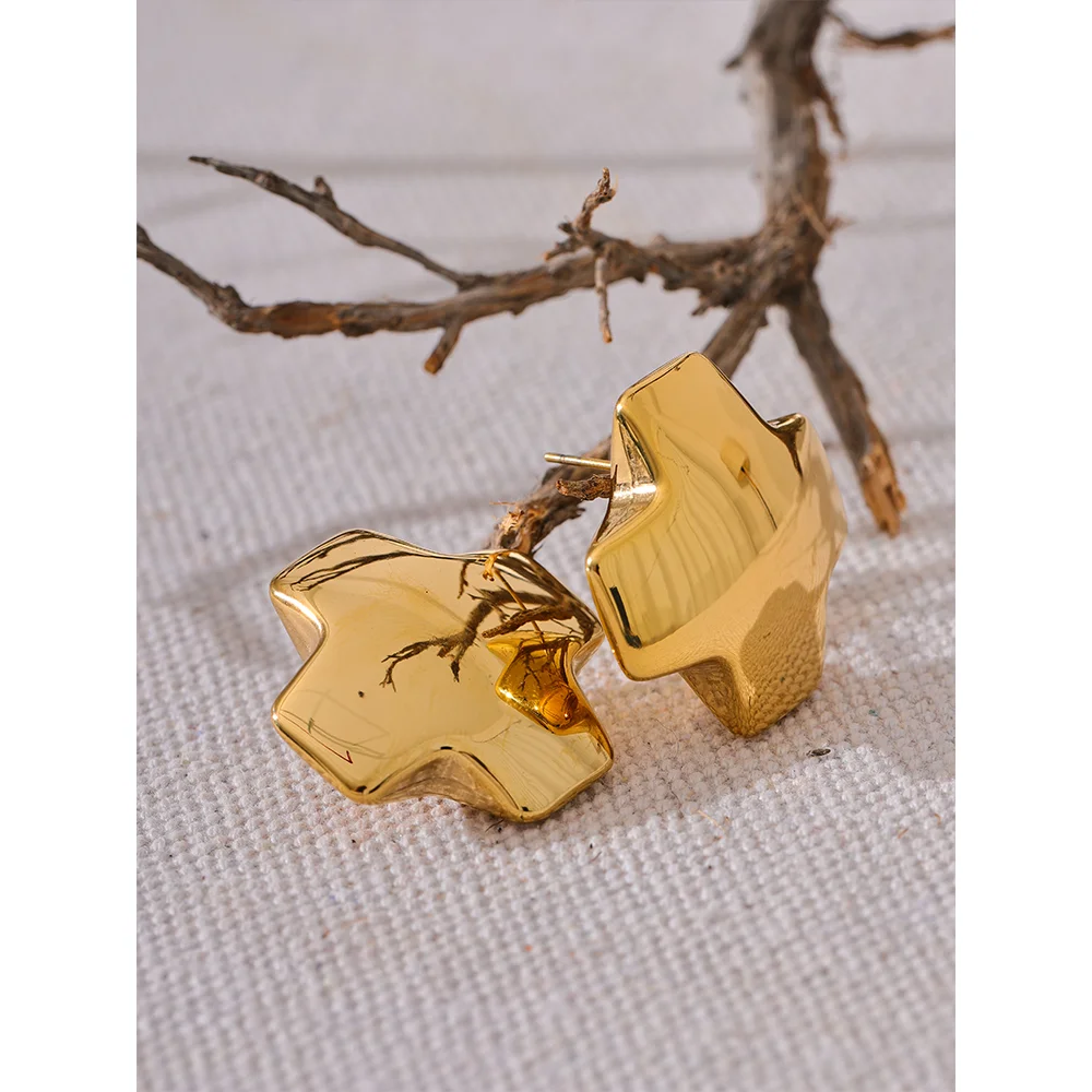 Isalene  Earrings Sculpted Star Stud Earrings