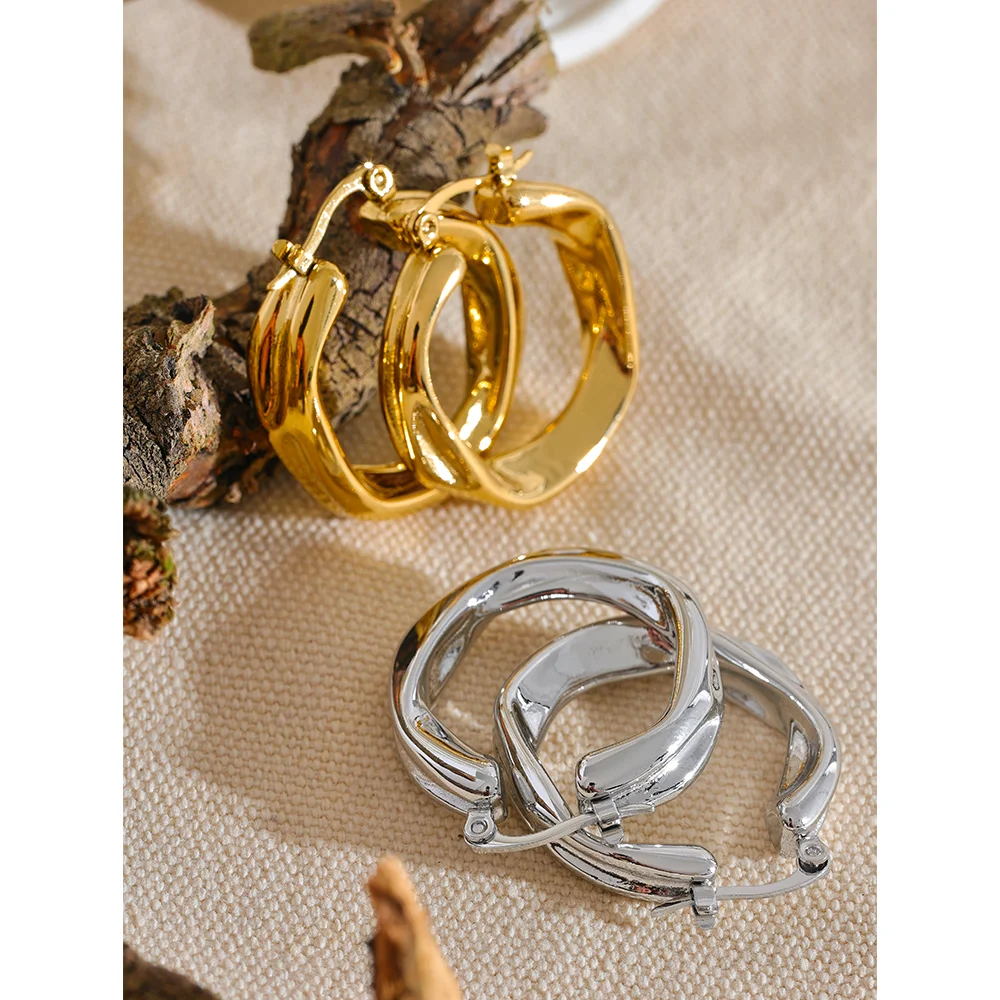 Isalene  Earrings Twisted Curve Hoop Earrings